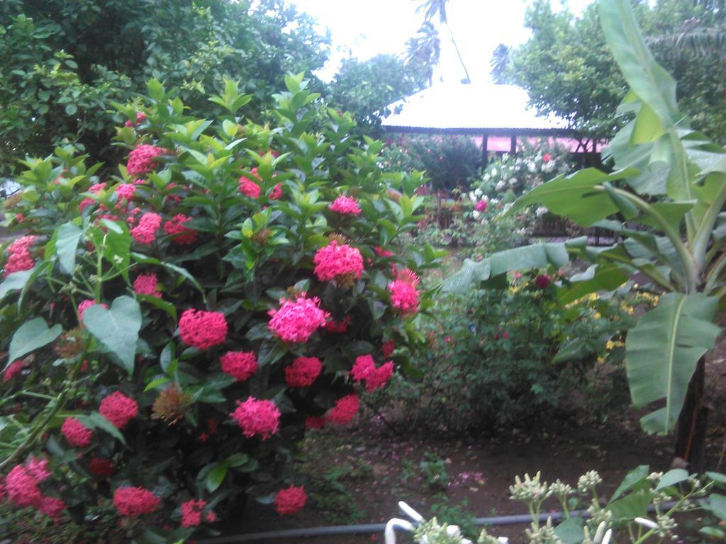 Hostal La Cascada San Ramon Mérida Екстериор снимка